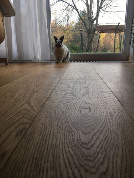 Drevené parkety Dub Superior – olej Natura, 4V špára, kefovaný povrch